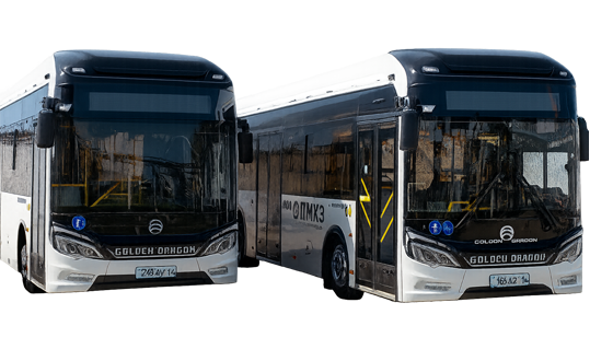 Golden Dragon XML01CR